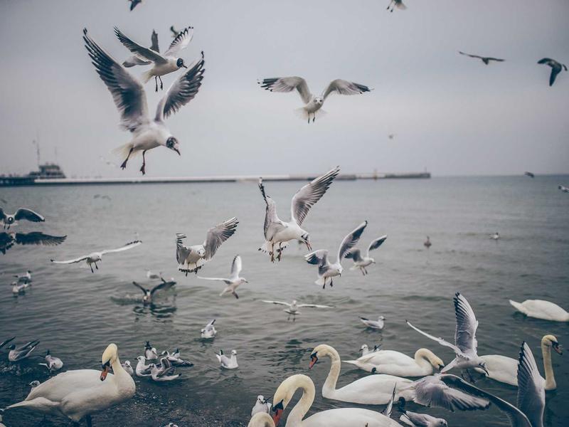 sudoku trial and error screenshot 2